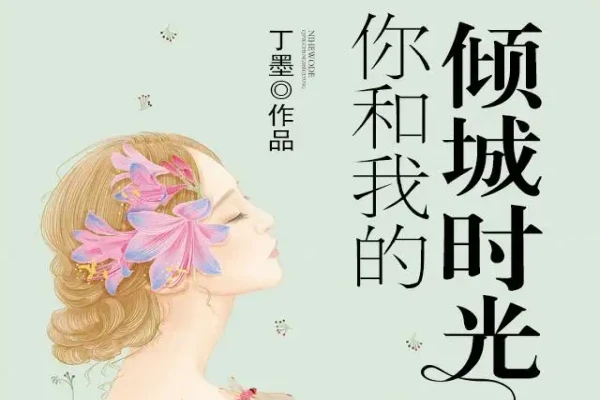 丁墨的《你和我的倾城时光》书评（主角：林浅）-读书翁