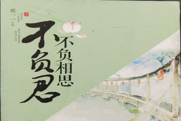 莫一一的《不负相思不负君》书评（主角：沈青砂）-读书翁