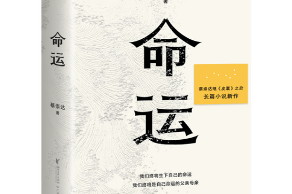 蔡崇达的《命运》书评（主角：阿太）-读书翁