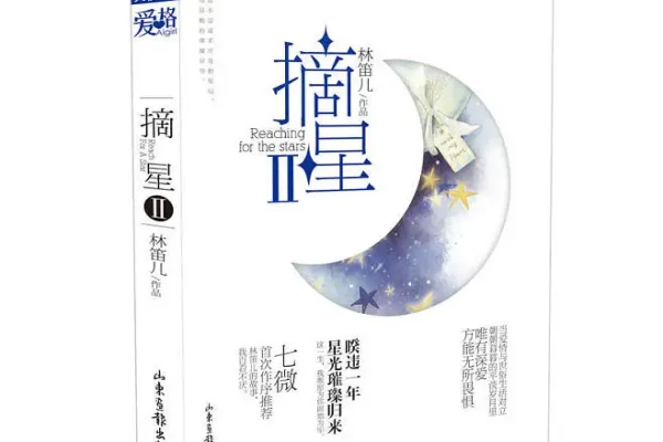 林笛儿的《摘星--十年》书评（主角：诸航&卓绍华）-读书翁