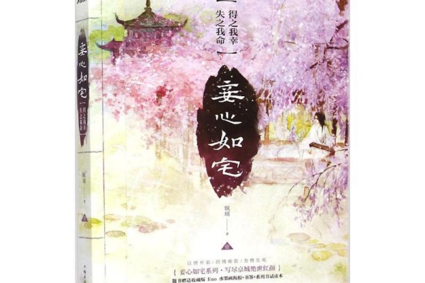 娴璃的《妾心如宅》书评（主角：出岫）-读书翁