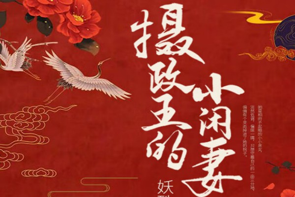 妖殊的《摄政王的小闲妻》书评（主角：卫殊）-读书翁