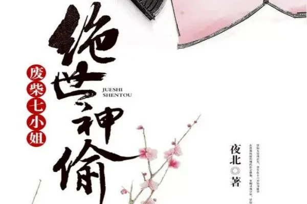 夜北的《绝世神偷：废柴七小姐》书评（主角：沈炎萧）-读书翁