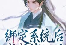 绑定系统后,我成谪仙了小说全文哪里可以免费看?-读书翁