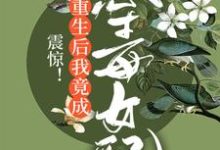 林枝是哪本书的主角？震惊！重生后我竟成恶毒女配免费读-读书翁