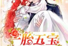 一胎五宝找上门(唐梦欣秦时)在线免费阅读-读书翁