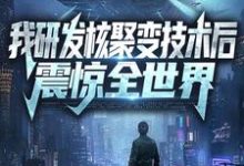 江辰苏辰的故事在哪本书里?免费阅读我研发核聚变技术后,震惊全世界-读书翁