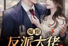 陆峥野林妤笙为主角的小说好看吗?免费读爆撩!反派大佬别太爱-读书翁