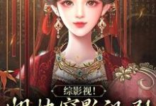 已完结小说《综影视!姐快穿影视剧杀疯了》在线章节阅读-读书翁