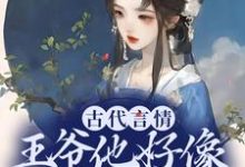 古代言情:王爷他好像是断袖啊盛子戎盛子寰在线章节免费阅读-读书翁