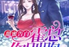 甜蜜告白:霍总,你别跑小说的无弹窗阅读体验,寻找免费阅读网站-读书翁