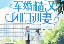 八零娇娇太撩人,军婚糙汉闭门训妻苏凝雪江墨沉小说免费阅读-读书翁