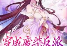 主角傅天凌苏幻雪小说穿成废柴反派,我狂撩女主免费阅读-读书翁