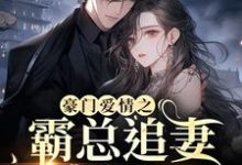 求豪门爱情之霸总追妻火葬场小说免费资源-读书翁