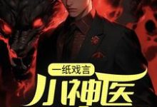 小说《一纸戏言,小神医下山成婚》章节免费阅读-读书翁