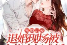 先婚后爱:退婚现场被大佬当场求婚小说的无弹窗阅读体验,寻找免费阅读网站-读书翁