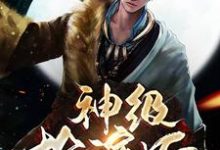 神级扮演师小说阅读，神级扮演师完结版-读书翁