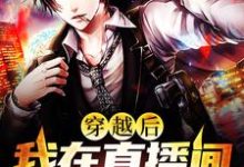 苏晨是哪本书的主角？穿越后我在直播间成了活阎王免费读-读书翁