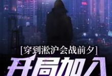 杨成的故事在哪本书里?免费阅读穿到淞沪会战前夕,开局加入黑风寨-读书翁