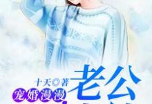 宠婚漫漫：老公别太撩小说完结了吗？在哪里可以免费读到？-读书翁