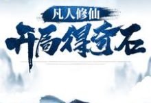 林十三的小说在哪里看?免费在线阅读凡人修仙:开局得奇石-读书翁