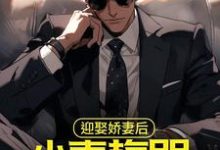 小说《迎娶娇妻后，小青梅哭着来找我》在线章节阅读-读书翁