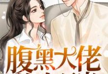 腹黑大佬的白月光小说无弹窗阅读的网站推荐-读书翁