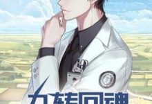 神医:九转回魂,一针定生死小说全文哪里可以免费看?-读书翁