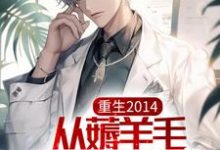 重生2014，从薅羊毛开始暴富方源在线章节免费阅读-读书翁