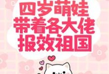 沐晨庄元离的完整故事在哪里?读国家团宠:四岁萌娃带着各大佬报效祖国小说-读书翁