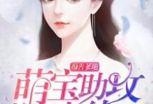 完结版《报告爹地：萌宝助攻已上线》章节阅读-读书翁