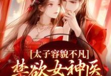 雁未迟上官曦为主角的小说叫什么?免费看太子容貌不凡,禁欲女神医爱疯了-读书翁