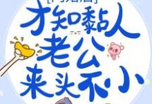 完结版《闪婚后，才知黏人老公来头不小》免费阅读-读书翁