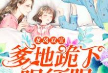 龙凤双宝：爹地跪下唱征服姜暖霍北辰羡羡果果，龙凤双宝：爹地跪下唱征服在线无弹窗阅读-读书翁