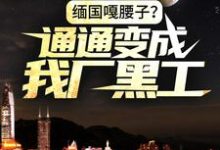 哪里能找到缅国嘎腰子?通通变成我厂黑工!小说的全部章节?-读书翁