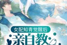 《女配知青觉醒后，亲自教白莲花做人》小说主角池婉霍西洲章节章节免费在线阅读-读书翁