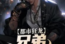 求都市狂龙：兄弟，哥罩着你！小说免费资源-读书翁