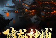 已完结小说《降龙神捕》在线章节阅读-读书翁