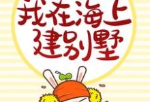 免费阅读陆星辰为主角的小说,内卷丧命后,我在海上建别墅在线看-读书翁