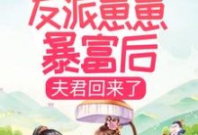 男女主人公叶枝枝萧景珩小说带着五个反派崽崽暴富后，夫君回来了章节免费阅读-读书翁