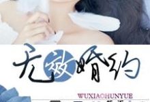 小说《无效婚约》在线章节阅读-读书翁