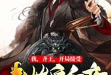 叶言嬴阴嫚慕容镜楚若月的故事在哪本书里?免费阅读我,齐王,开局接受秦始皇和亲-读书翁