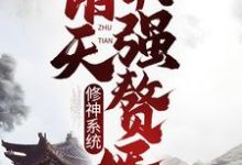 主角林琅天小说修神系统:诸天最强赘婿免费阅读-读书翁