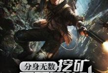 分身无数:挖矿五百年的我早已无敌小说的免费电子版在哪里可以下载或阅读?-读书翁