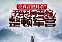 免费在线阅读说真言被封杀?我转身考编整顿军营小说的正规网站有哪些?-读书翁