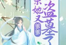 寻找爹爹!娘亲她又去盗墓了小说的最新更新章节-读书翁