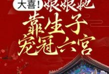 已完结小说《大喜!娘娘她靠生子宠冠六宫》最新章节-读书翁