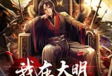 我在大明当反骨逆子小说,我在大明当反骨逆子章节在线阅读-读书翁