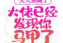 承欢夜之庭的完整故事在哪里?读夫人别藏了,大佬已经发现你马甲了小说-读书翁