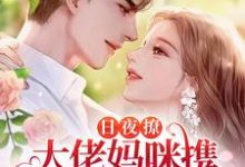 哪里可以免费读到苏子瑶风南爵的完整故事？寻找日夜撩，大佬妈咪携三宝诱他沦陷-读书翁